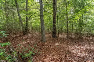2040 Hampson Rd, Morganton, NC 28655 - Photo 8