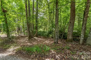 2040 Hampson Rd, Morganton, NC 28655 - Photo 14
