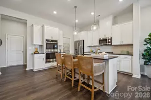 8694 Miles Gap Rd, Indian Land, SC 29707 - Photo 6