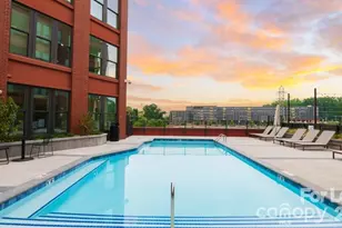 300 E 36th St, Charlotte, NC 28206 - Photo 2