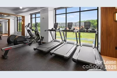 300 E 36th Street #B1, Charlotte, NC 28206 - Photo 8
