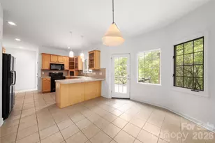 135 Buffalo Trail, Asheville, NC 28805 - Photo 24