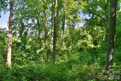 415 Weaverville Road, Asheville, NC 28804 - Photo 14