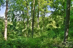 415 Weaverville Rd, Asheville, NC 28804 - Photo 14