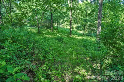 415 Weaverville Road, Asheville, NC 28804 - Photo 10