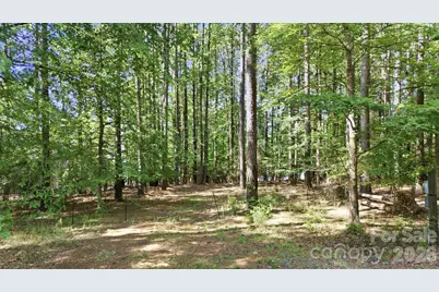 161 Eagle Chase Lane, Troutman, NC 28166 - Photo 6