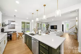 14106 Belmont Greene Dr, Charlotte, NC 28213 - Photo 4