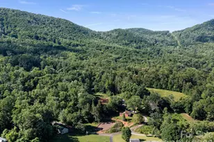 35 Cedar Farm Rd, Asheville, NC 28803 - Photo 32