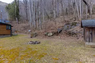 1668 Buff Creek Rd, Sylva, NC 28779 - Photo 36