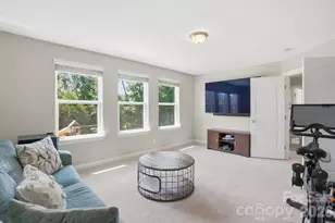 10420 Daufuskie Dr, Charlotte, NC 28278 - Photo 30