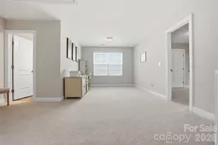 10420 Daufuskie Dr, Charlotte, NC 28278 - Photo 26