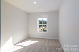 8156 Mintworth Ln, Charlotte, NC 28227 - Photo 6