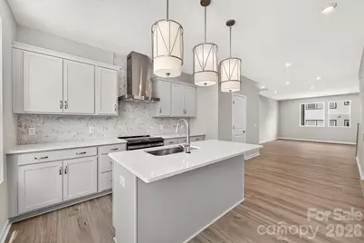 5513 Swaling Street, Charlotte, NC 28217 - Photo 8