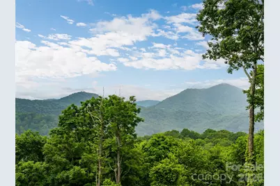 243 Pioneer Ridge Road, Canton, NC 28716 - Photo 4