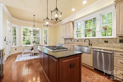 3529 Mountain Cove Drive, Charlotte, NC 28216 - Photo 10