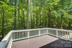 14125 MonteCastillo Pl, Charlotte, NC 28278 - Photo 44