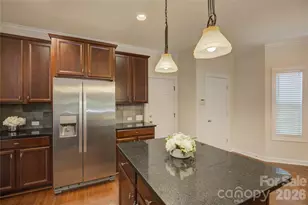 14125 MonteCastillo Pl, Charlotte, NC 28278 - Photo 10