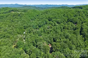 1952 Davis Mountain Rd, Hendersonville, NC 28739 - Photo 44