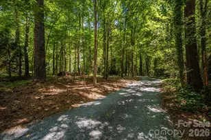 8903 New Town Rd, Waxhaw, NC 28173 - Photo 12