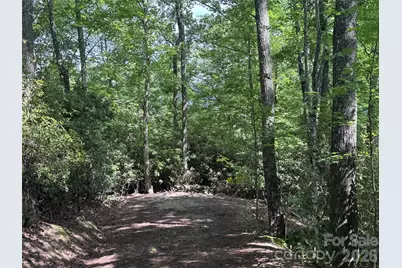 10A Reserve Road, Brevard, NC 28768 - Photo 24