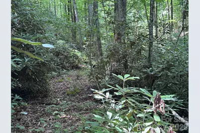 10A Reserve Road, Brevard, NC 28768 - Photo 10