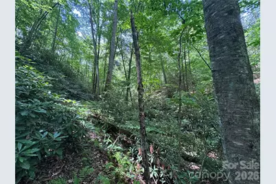 10A Reserve Road, Brevard, NC 28768 - Photo 6