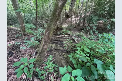 10A Reserve Road, Brevard, NC 28768 - Photo 16