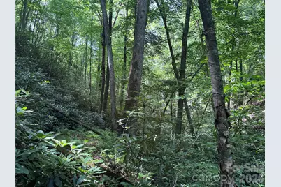 10A Reserve Road, Brevard, NC 28768 - Photo 8