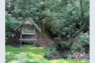 10A Reserve Road, Brevard, NC 28768 - Photo 4