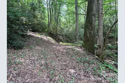 10A Reserve Road, Brevard, NC 28768 - Photo 2