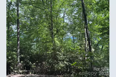 10A Reserve Road, Brevard, NC 28768 - Photo 22