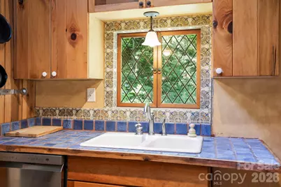 173 Camp Elliott Road, Black Mountain, NC 28711 - Photo 16