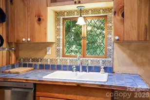 173 Camp Elliott Rd, Black Mountain, NC 28711 - Photo 16