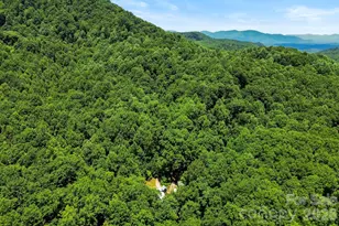 173 Camp Elliott Rd, Black Mountain, NC 28711 - Photo 42