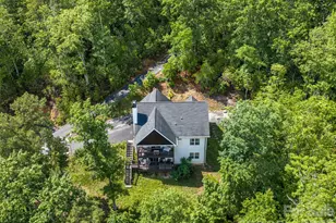 78 Boyd Vw Ln, Mills River, NC 28759 - Photo 42