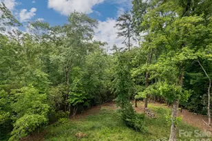 78 Boyd Vw Ln, Mills River, NC 28759 - Photo 18