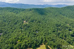 78 Boyd Vw Ln, Mills River, NC 28759 - Photo 48