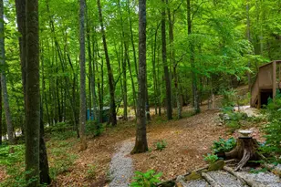 243 Jonquil Woods Rd, Franklin, NC 28734 - Photo 40