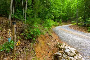 243 Jonquil Woods Rd, Franklin, NC 28734 - Photo 28