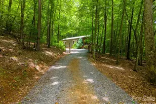 243 Jonquil Woods Rd, Franklin, NC 28734 - Photo 32