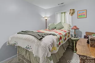102 Wicklow Dr, Asheville, NC 28806 - Photo 28
