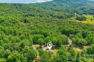 51 Hermit Spgs Trl, Hendersonville, NC 28739 - Photo 46