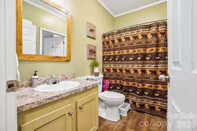 51 Hermit Springs Trail, Hendersonville, NC 28739 - Photo 30