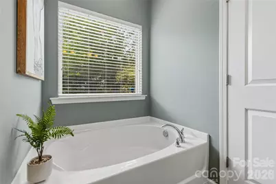 4007 Cloud View Lane, Indian Trail, NC 28079 - Photo 24