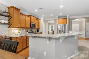 4007 Cloud View Ln, Indian Trail, NC 28079 - Photo 12