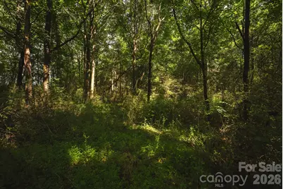 Tbd Jeff Price Lane, Taylorsville, NC 28681 - Photo 20