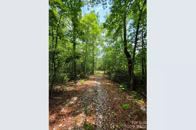 169 Fairfield Lane, Marion, NC 28752 - Photo 12