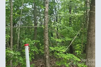 169 Fairfield Lane, Marion, NC 28752 - Photo 16