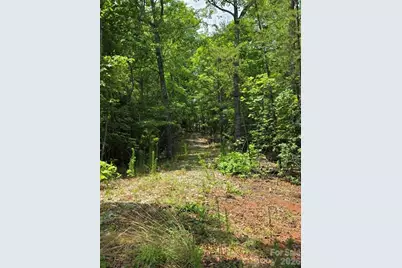 169 Fairfield Lane, Marion, NC 28752 - Photo 10