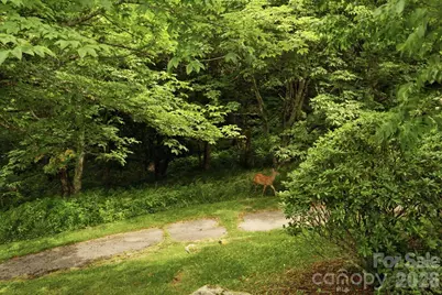 276 Four Diamond Drive, Seven Devils, NC 28604 - Photo 36